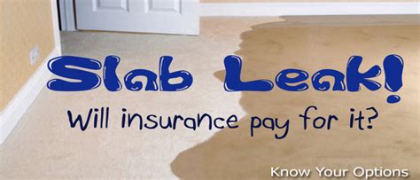 gainesville fl slab leak detection|Slab Leak Repair 